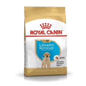 ROYAL CANIN Labrador Retriever Puppy 12kg  + STAIGMENA ŠUNUI