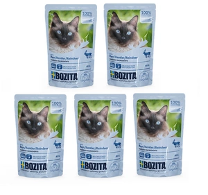 BOZITA Šiaurinio elnio mėsos kukuliai padaže (paketėlis) 5x85g