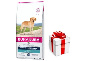 EUKANUBA Adult Labrador Retriever 12kg + STAIGMENA ŠUNUI