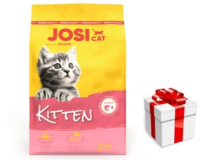 JOSERA JosiCat Kitten 10kg + STAIGMENA KATEI