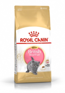 ROYAL CANIN British Shorthair Kitten 2kg sausas ėdalas kačiukams iki 12 mėnesių, britų trumpaplaukių veislė