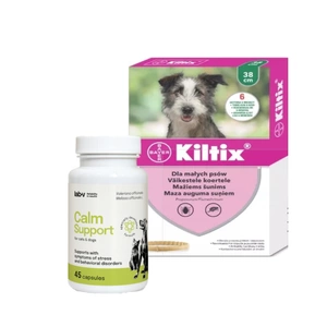 Bayer KILTIX, antkaklis mažiems šunims 38cm + LAB-V Calm Support - streso ir elgesio sutrikimų simptomų palaikymas 45 kapsulės