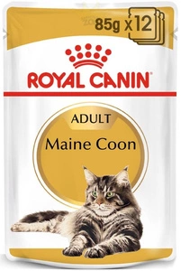 ROYAL CANIN Meino meškėnų veislės suaugusieji paketėliai 12x85g (Sauce)