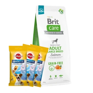 BRIT CARE Dog Grain-free Adult Large Breed Salmon 12kg + 3xDentaStix NEMOKAMAI