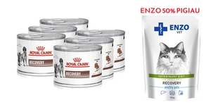 ROYAL CANIN Recovery 6x195g skardinė + 50% PIGIAU ENZO VET Recovery katėms 100g