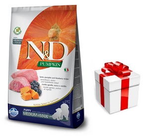 Farmina N&D Pumpkin Grain Free canine LAMB & BLUEBERRY PUPPY MEDIUM & MAXI 12kg + STAIGMENA ŠUNUI