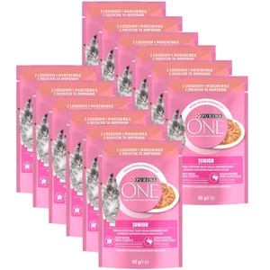 Purina One Junior su lašiša ir morkomis 12x85g