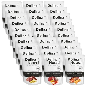 DOLINA NOTECI Mišrių skonių 30x100g šlapias maistas šunims