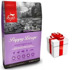 ORIJEN Dog Puppy Large 11,4kg + STAIGMENA ŠUNUI