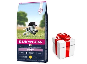 EUKANUBA Puppy&Junior Medium Breed 15kg + STAIGMENA ŠUNUI