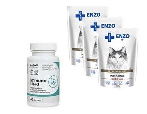 ENZO VET Žarnynas su ėriena padaže katėms 3x100g + LAB-V Immuno Hard 45 kapsulės