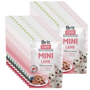BRIT CARE Mini ėrienos filė padaže šuniukui 24x85g