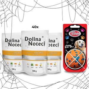 Dolina Noteci Premium Antiena ir moliūgas 40x500g + kamuolys