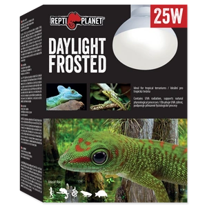 REPTI PLANET dienos šviesos matinė lemputė 25W