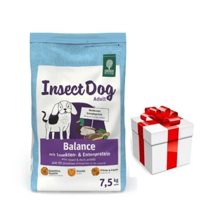 GREEN PETFOOD InsectDog Balance 7,5kg + Staigmena Šunui