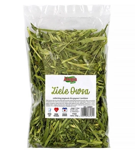 ALEGIA avižų žolė 80g